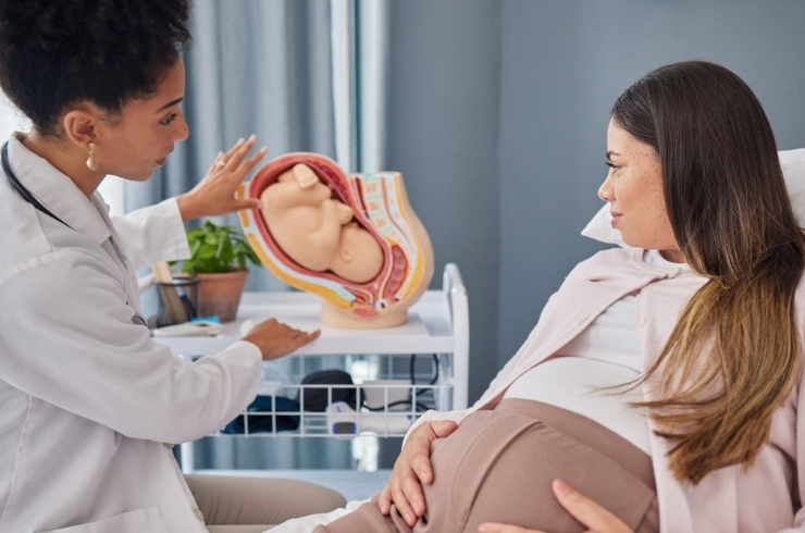 Obstetrics & Gynecology Consultation
